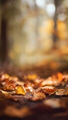 Falling golden and crimson autumn leaves in serene forest setting