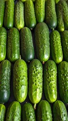 Fresh cucumbers arranged neatly