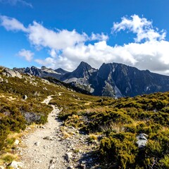 Fototapeta premium Scenic mountain trail winds through vibrant green landscape beneath sky