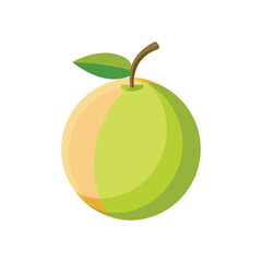 A single ripe green guava fruit with a leaf and stem isolated on a white background