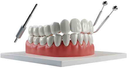 3d Realistic Dental Teeth Model With Tools