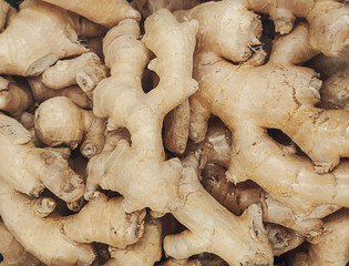 Ginger rhizomes. Top view. Background.