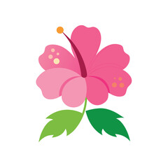 Vibrant pink hibiscus flower illustration with green leaves on white background