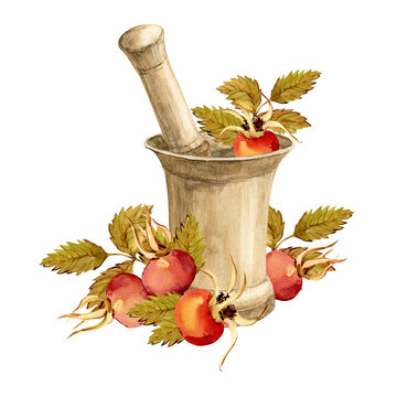 mortar and pestle with rose hips clip art preview