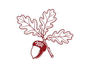 Sketch illustration of an acorn on a branch with leaves. A hand-drawn ink sketch depicting the fruit of an oak tree. Clip art, vector graphic.