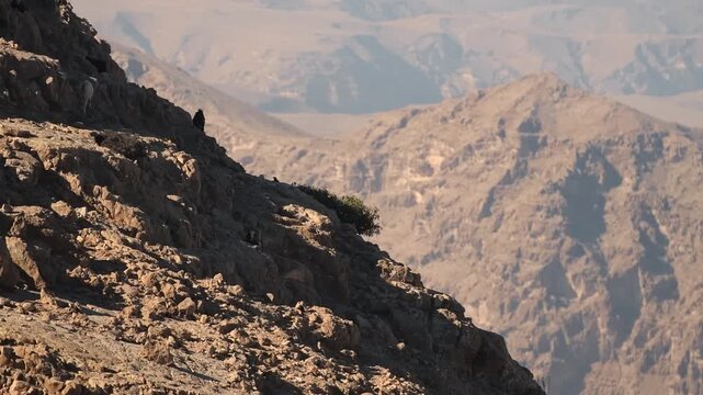 A wide shot of the rugged, rocky mountains of Oman under a clear sky. The landscape is characterized by its arid, stony terrain and deep valleys, showcasing the natural beauty of the region.