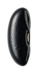 Isolated black bean with glitter on transparent background realistic photo