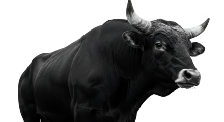 Isolated Black Bull With Snowflakes Dark Realistic Image