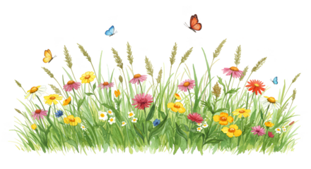 Illustration of colorful wildflowers and green grass with butterflies