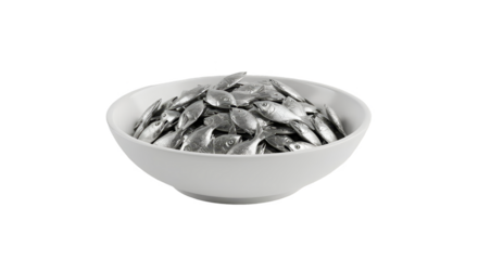 Isolated Bowl of Shiny Silver Fish Food 3d Render