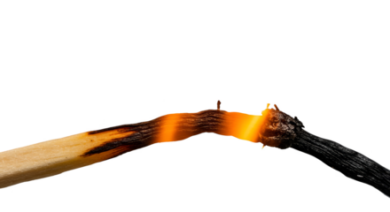 Isolated Burning Match Stick Illustration with Black Ash