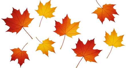 Obraz premium Autumn Maple Leaves Realistic Isolated Transparent PNG