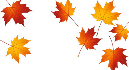 Autumn Maple Leaves Isolated Transparent Background Realistic Image
