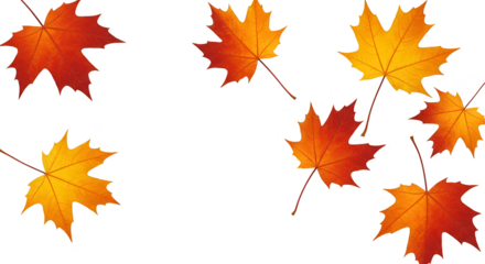 Autumn Maple Leaves Isolated Transparent Background Realistic Image