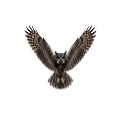 Fototapeta premium A majestic owl in flight with outstretched wings. The owl has dark brown feathers and a distinctive face. The background is transparent, emphasizing the bird's features.