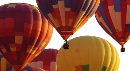Colorful Hot Air Balloons Ascending Sunlit Sky Realistic Photo