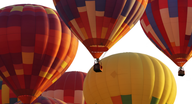 Colorful Hot Air Balloons Ascending Sunlit Sky Realistic Photo