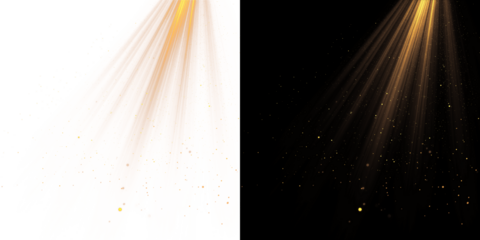 Warm Light Beams. Spotlight Isolated