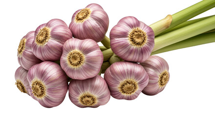 Isolated Garlic Bunch Transparent Background Photo