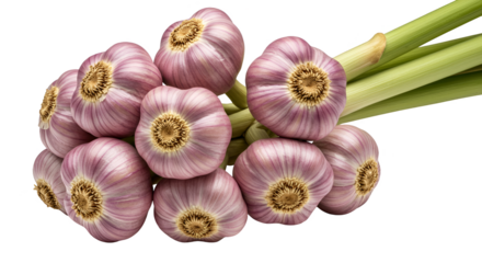 Isolated Garlic Bunch Transparent Background Photo