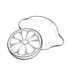 Lemon and half lemon, vector drawing in flat style on white background. Perfect for food design, packaging, restaurant menu, juice labels, and summer projects.