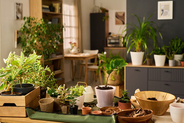 Various potted houseplants arranged on table in bright living room, green foliage filling foreground, background showing additional plants and blurred dining area, no people visible