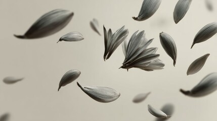 Elegant Petals Floating in a Soft Background, Creating a Serene Atmosphere, Ideal for Nature Enthusiasts and Art Lovers at Any Time