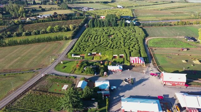 4K aerial drone footage of the famous pumpkin patch farm on Sauvie Island near the Columbia River in Portland Oregon, showing corn maze fields, colorful barns surrounded by farmland during fall season