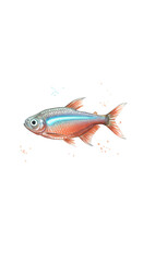 Isolated Neon Tetra Fish Transparent Background Illustration