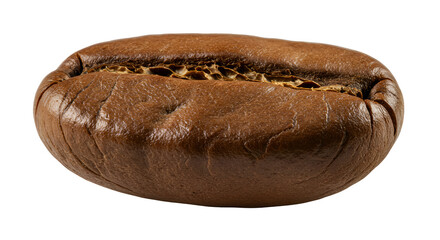 Isolated Photo Coffee Bean Macro Detail Dark Roast Brown