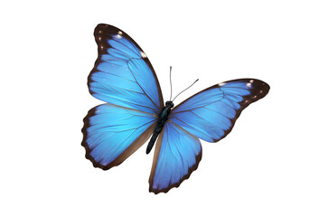 Obraz premium A stunning aerial view of a solar power plant showcasing rows of photovoltaic panels converting sunlight into clean electricity, symbolizing sustainable and renewable energy innovation.