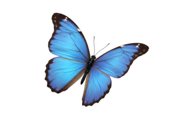 A stunning aerial view of a solar power plant showcasing rows of photovoltaic panels converting sunlight into clean electricity, symbolizing sustainable and renewable energy innovation.