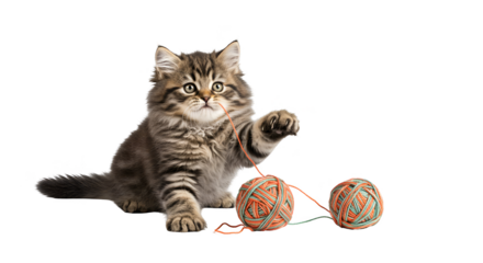 Isolated Photo Fluffy Tabby Kitten Playing With Yarn Balls