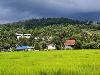 Umphang Hospital building, rice fields, houses, Umphang District, Tak Province