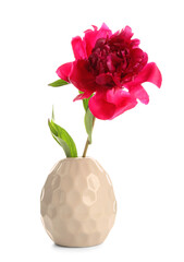 Vase with beautiful peony flower on white background