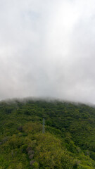 Lush Green Hillside Under Foggy Sky
