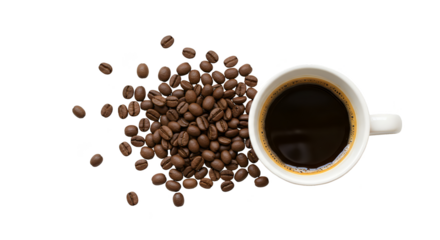 Isolated Photo Of Coffee Beans And White Cup With Dark Coffee