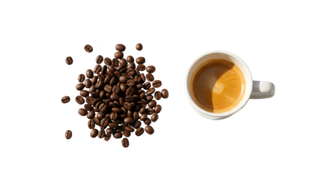 Isolated Photo Of Coffee Beans And Espresso Cup With Sunlight
