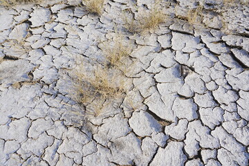 The dry and cracked soil cracked open