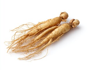 Two ginseng roots, light beige,  with  long, fibrous tendrils,  isolated on white