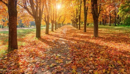Obraz premium Explore the vibrant colors of autumn in a serene park filled with golden and red leaves under a bright sun