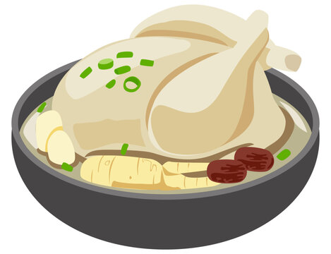 Korean samgyetang vector illustration with whole chicken, ginseng, garlic, and dates in hot broth, healthy Korean soup dish.