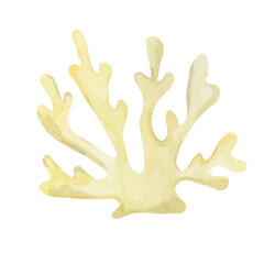 Obraz premium Yellow coral watercolor clipart, hand drawn marine element. Perfect for nautical stationery, wedding invitations, fabric prints, kids decor, summer wrapping paper, and decorative merchandise