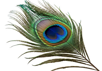 Obraz premium Hyperrealistic Colorful Peacock Feather