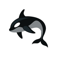 orca vector art