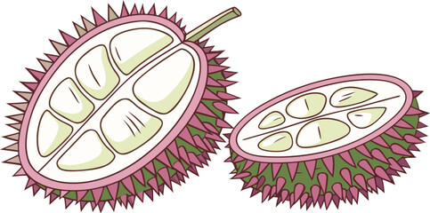 Two halves of a spiky seed pod are centered against a stark white background. The seed pod halves exhibit a contrasting color palette. One half is intact, displaying a textured exterior with a base co