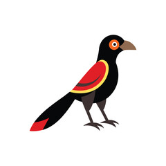 trogon vector art