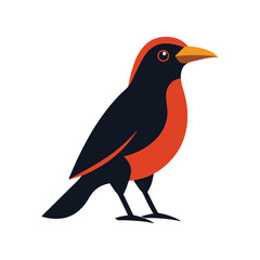 bower bird vector art