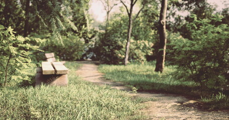 Obraz premium A serene park path leads through vibrant greenery, featuring a rustic wooden bench inviting visitors to relax. Sunlight filters through the trees, creating a tranquil atmosphere.