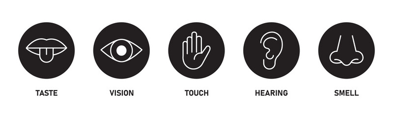 Human sense icons. Five human senses icons. Vision smell hearing touch taste senses fillings. Five fillings icons. Vector Illustration. Vector Graphic. 